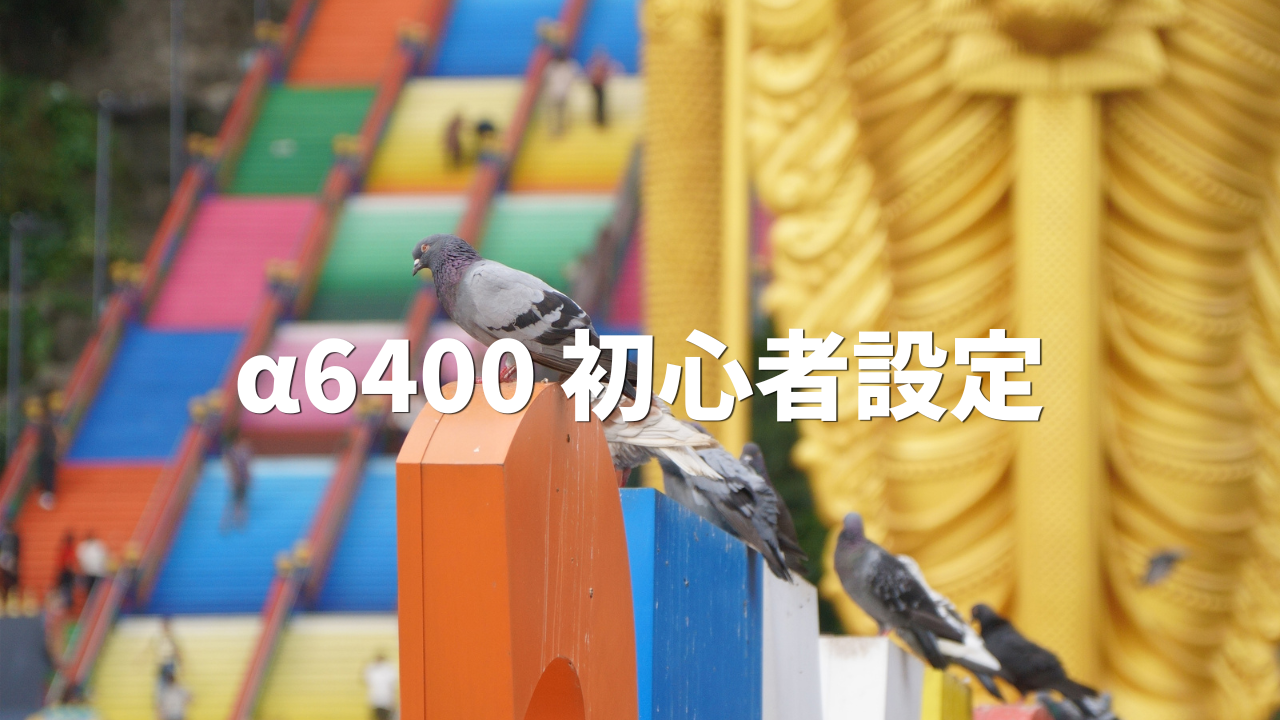 鳥　海外